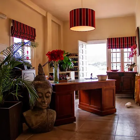 Avalon Guest house 3*