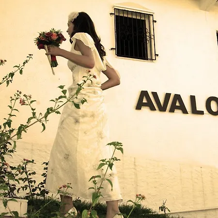 Avalon Πανσιόν