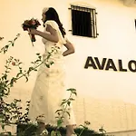 Avalon Penzion